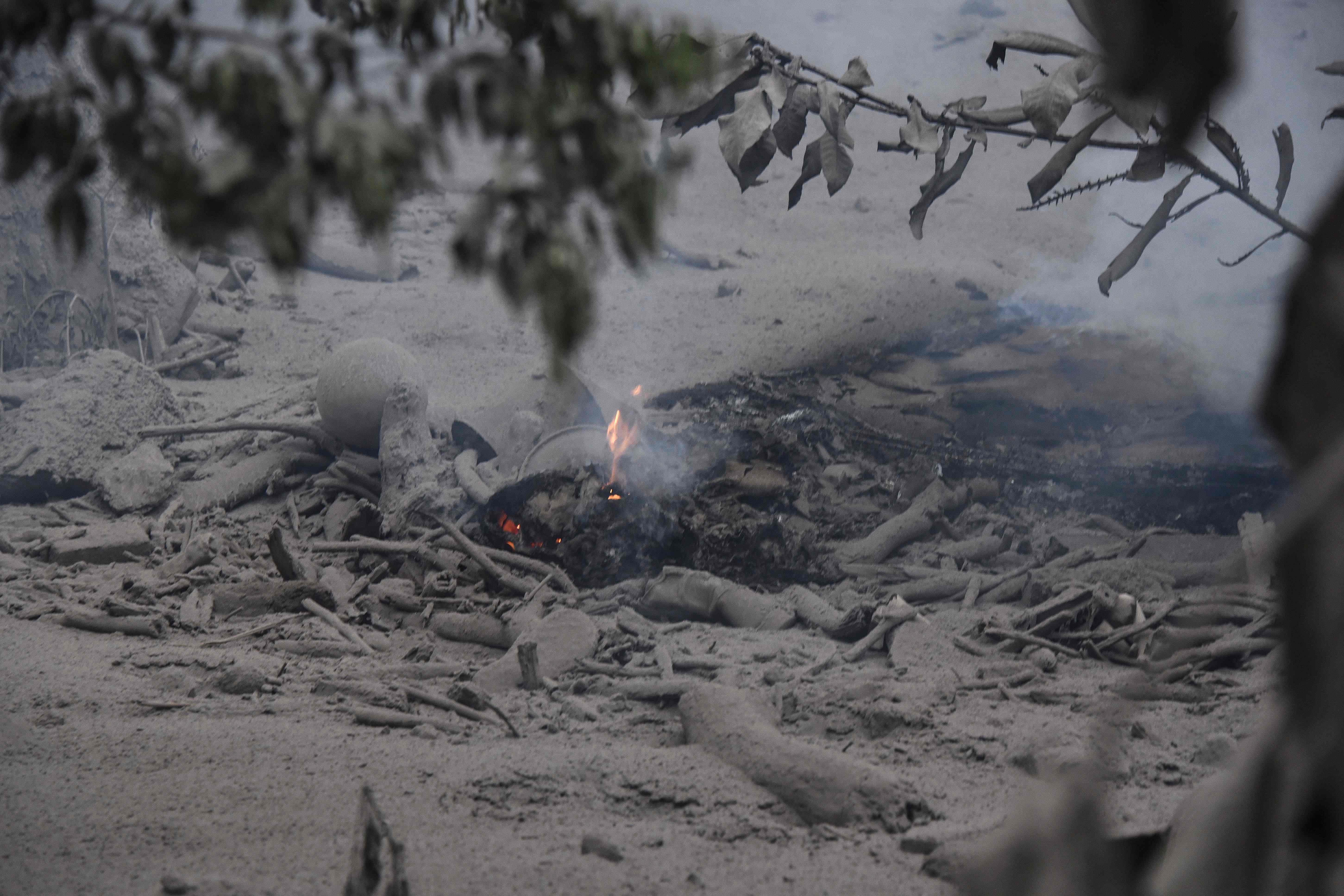 حمم البركان تشعل النار فى بقايا الأشجار