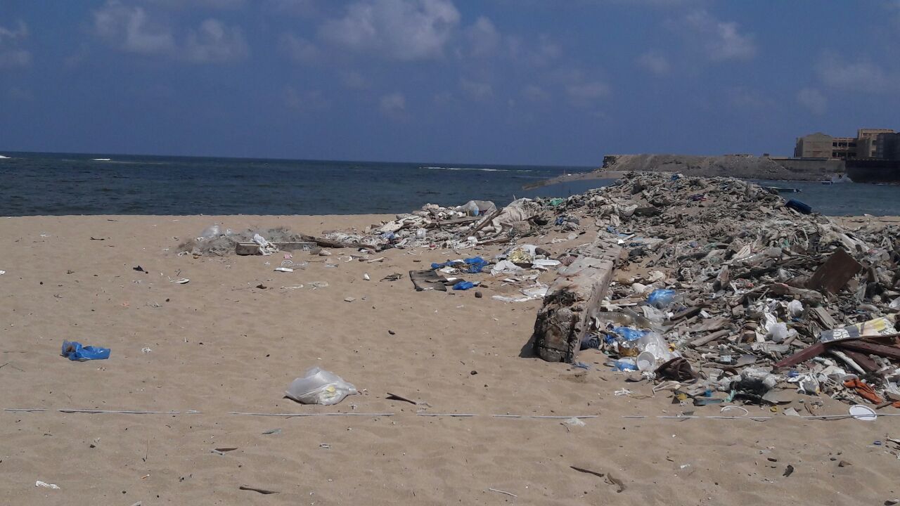 بدء حملة شباب بيحب مصر لنظافة شاطئ الانفوشى بالإسكندرية (6)