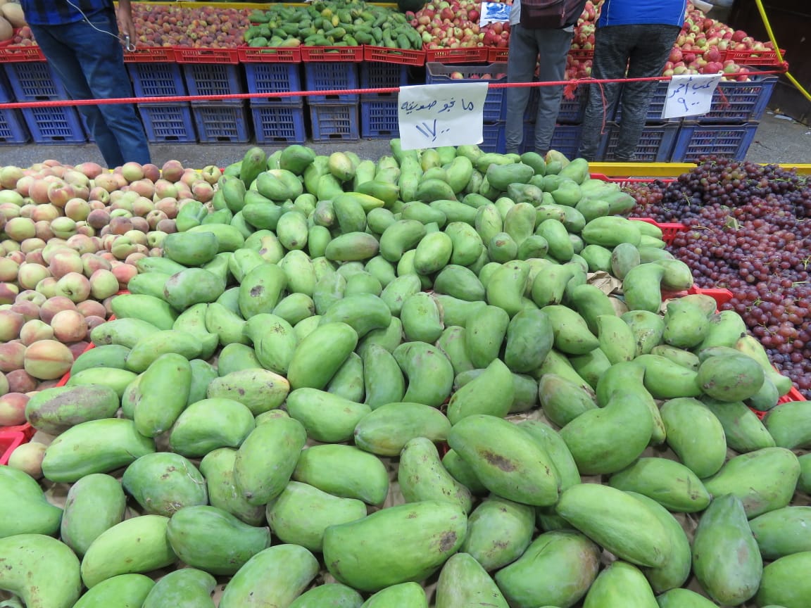 أسعار الخضراوات والفاكهة (19)