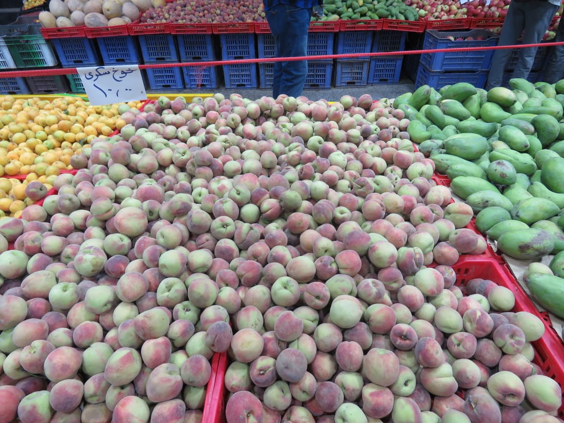 أسعار الخضراوات والفاكهة (20)