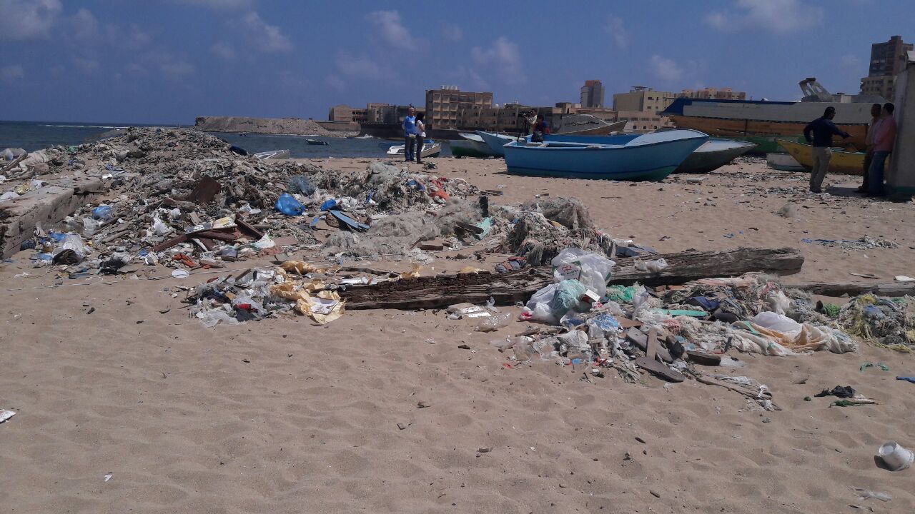 بدء حملة شباب بيحب مصر لنظافة شاطئ الانفوشى بالإسكندرية (8)
