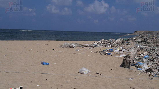 بدء-حملة-شباب-بيحب-مصر-لنظافة-شاطئ-الانفوشى-بالإسكندرية-(12)