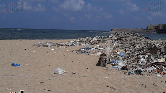 بدء-حملة-شباب-بيحب-مصر-لنظافة-شاطئ-الانفوشى-بالإسكندرية-(6)