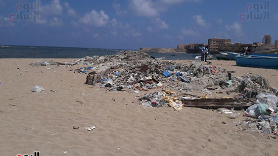 بدء-حملة-شباب-بيحب-مصر-لنظافة-شاطئ-الانفوشى-بالإسكندرية-(17)