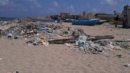 بدء-حملة-شباب-بيحب-مصر-لنظافة-شاطئ-الانفوشى-بالإسكندرية-(8)
