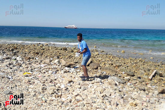 نطلاق مبادرة مؤسسة شباب بتحب بمصر لتنظيف شواطئ الغردقة من المخلفات (3)