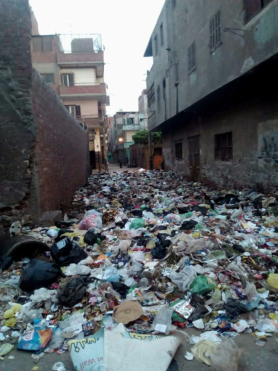 القمامة بجوار الوحدة الصحية بمنطقة الورش (1)