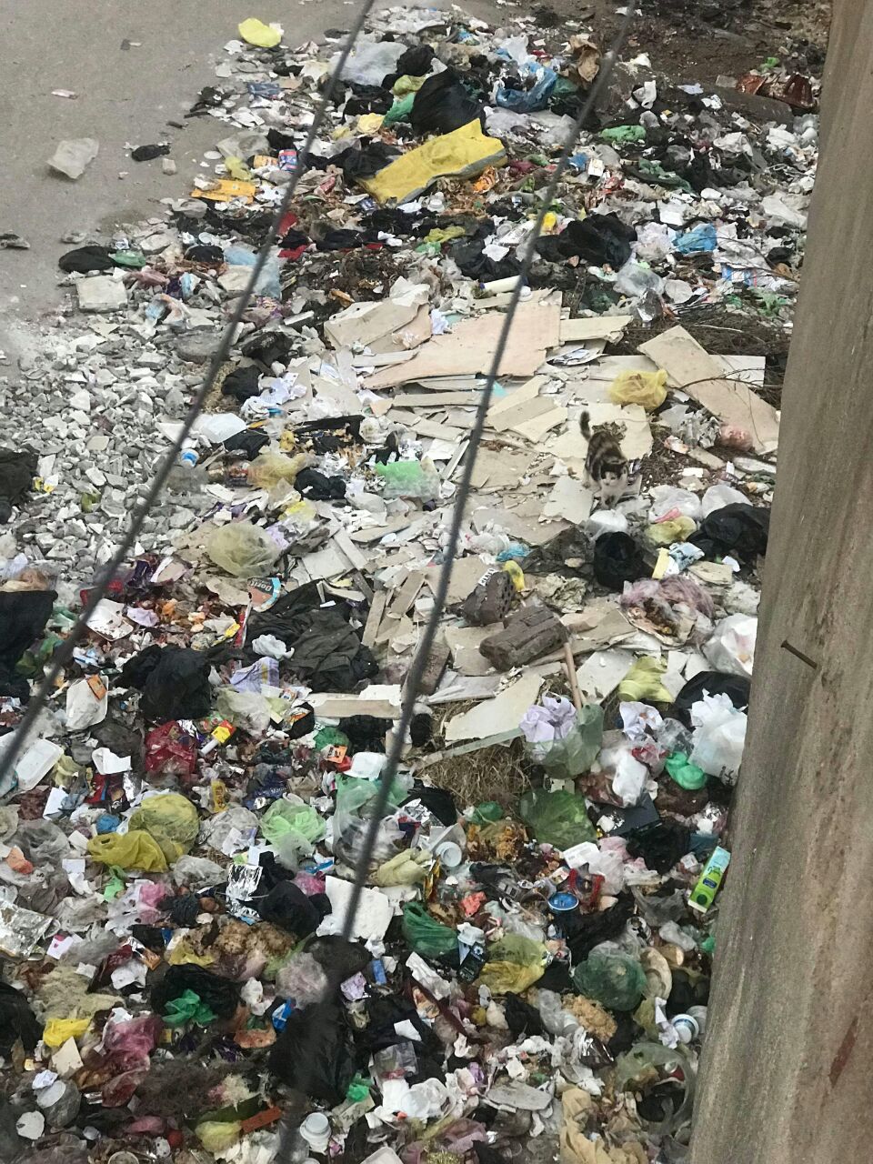 القمامة بجوار الوحدة الصحية بمنطقة الورش (2)