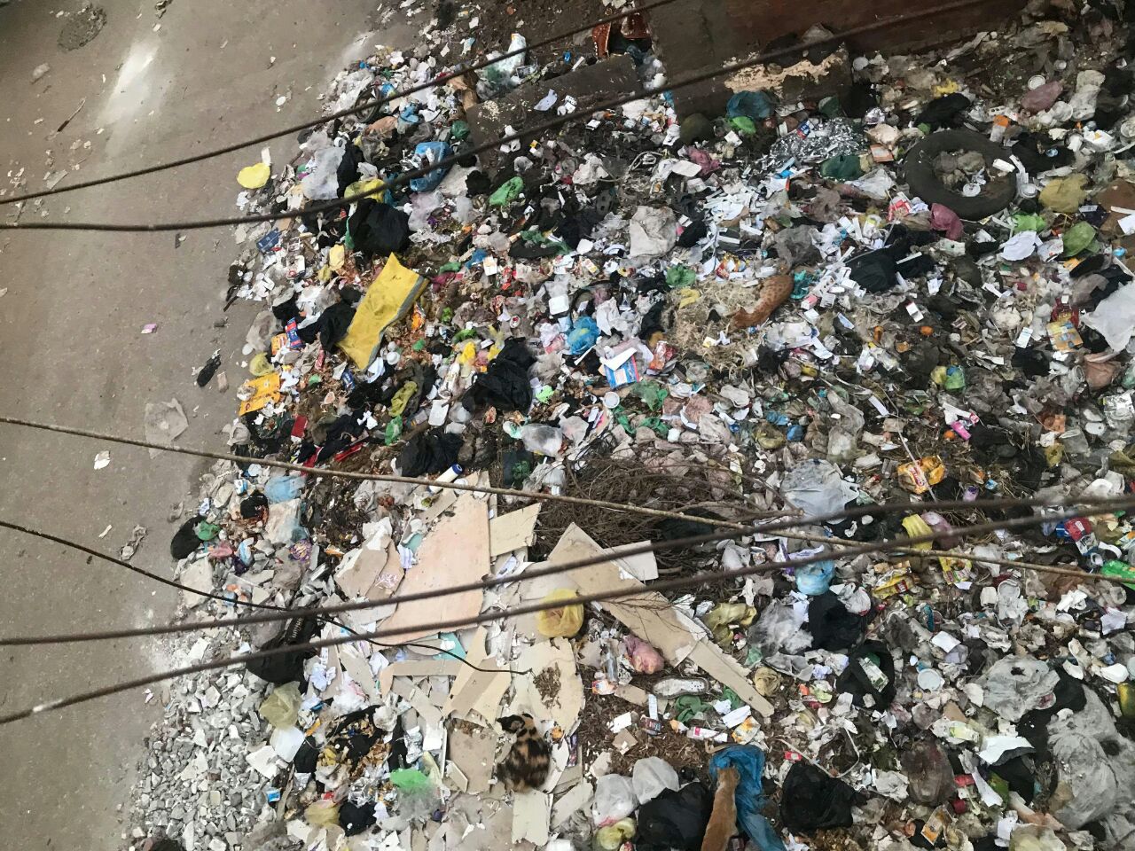 القمامة بجوار الوحدة الصحية بمنطقة الورش (3)