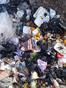 انتشار القمامة بقرية برج مغيزل بكفر الشيخ (3)