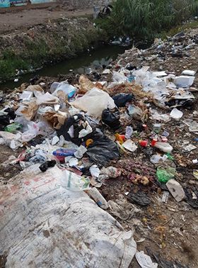انتشار القمامة بقرية برج مغيزل بكفر الشيخ (4)