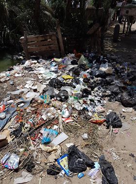 انتشار القمامة بقرية برج مغيزل بكفر الشيخ (2)