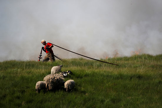 رجل إطفاء يسحب خرطوم مياه للسيطرة على حريق ببريطانيا