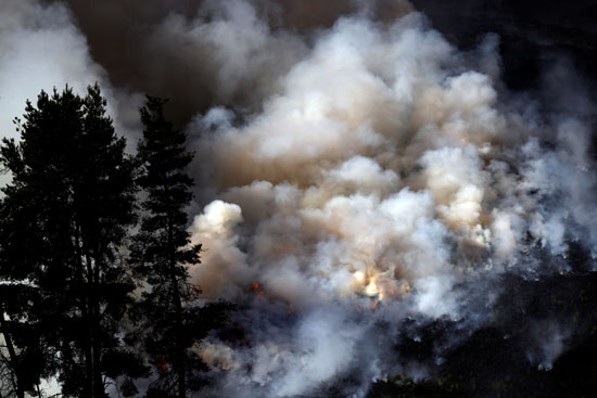 الأشجار تشتعل بسبب حريق وينتر هيل فى بريطانيا