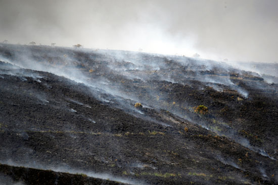 حريق يلتهم المساحات الخضراء فى وينتر هيل ببريطانيا