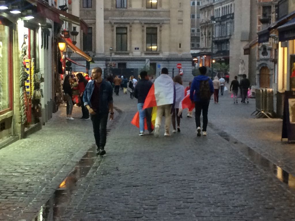  الحزن يخيم على جماهير بلجيكا بعد الخسارة من فرنسا (15)