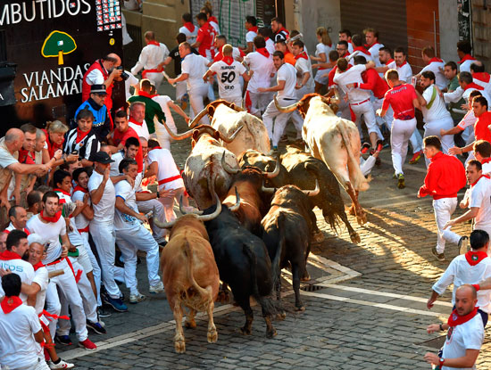 المشاركون فى مهرجان سان فيرمين يفسحون الطريق للثيران