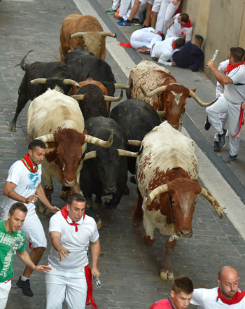 الثيران تقترب من إصابة المشاركين فى مهرجان سان فيرمين