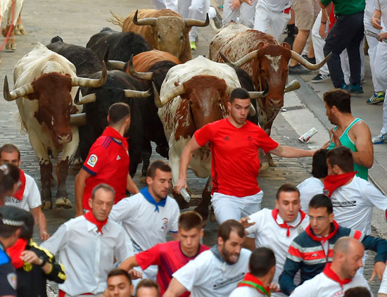الثيران تطارد الشباب بزيهم وأوشحتهم الحمراء فى شوارع إسبانيا