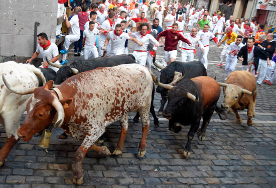 ركض الثيران فى شوارع إسبانيا خلال مهرجان سان فيرمين