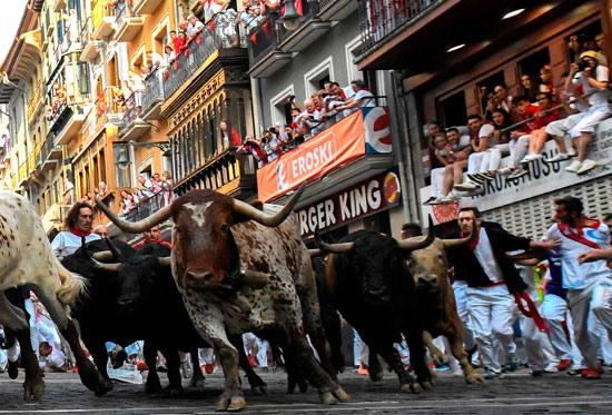 مجموعة من الثيران فى شوارع إسبانيا خلال مهرجان سان فيرمين