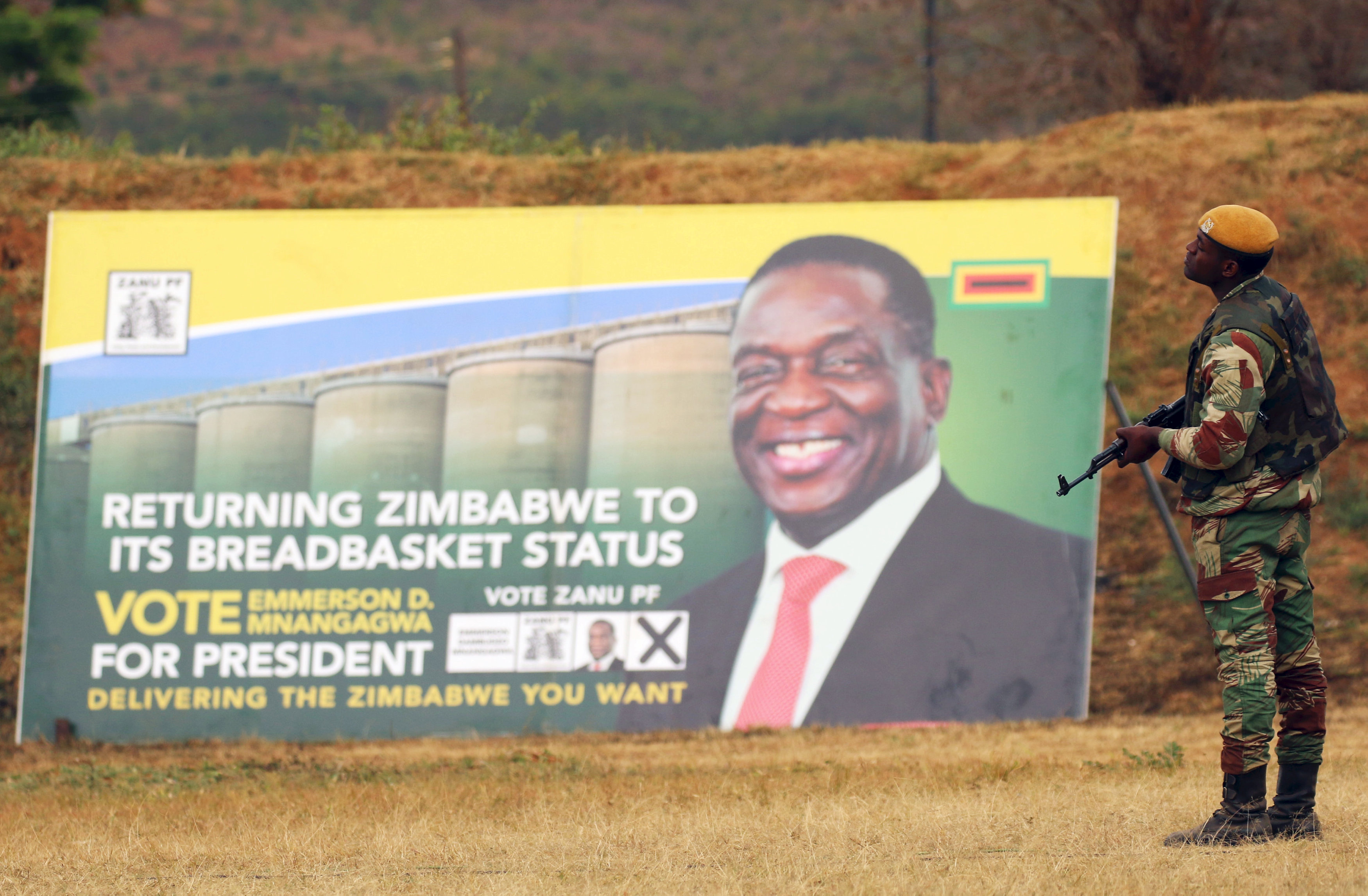 	صورة لرئيس زيمبابوى يحرسها جندى