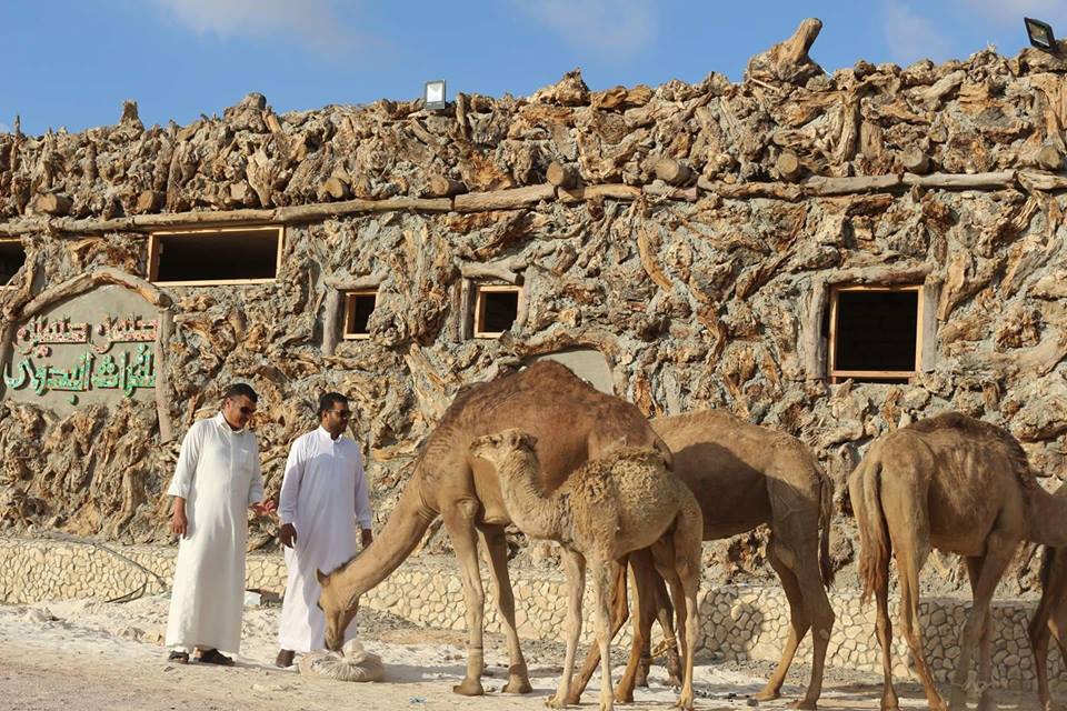 انطلاق المهرجان الأول للزي البدوي والحفاظ على التراث  بمطروح (4)