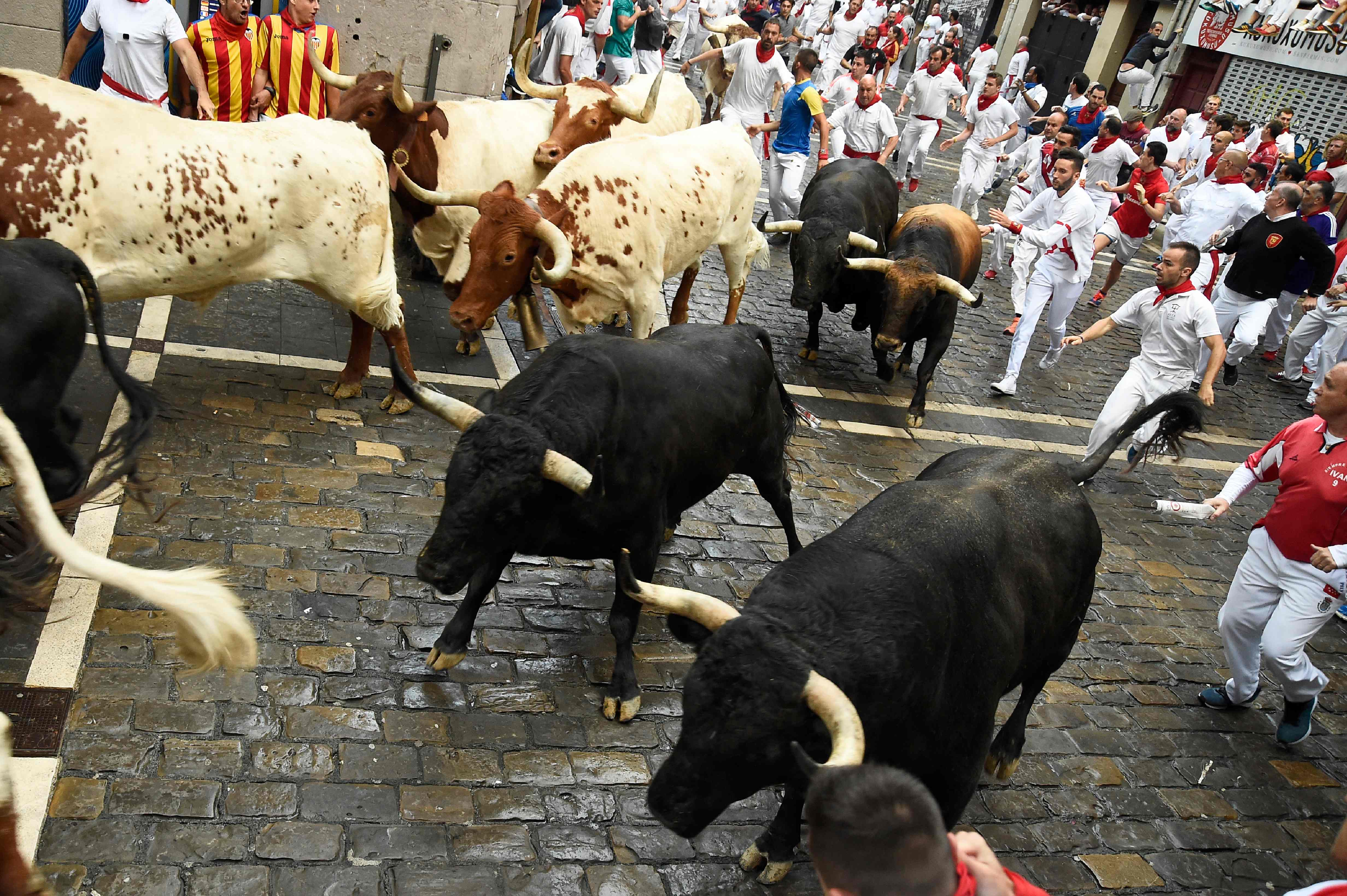 مهرجان الثيران فى إسبانيا