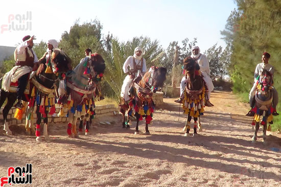 الفرسان يرتدون الزي البدوي التقليدي