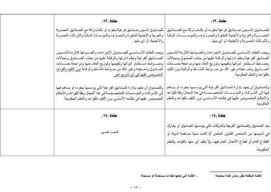 تقرير خطة البرلمان عن قانون صندوق مصر (17)