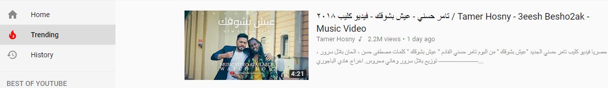 تامر حسنى