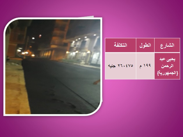 تكلفة وأسماء شوارع محافظة الغربية التى تم رصفها  (10)