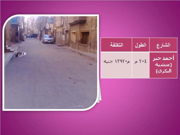 تكلفة وأسماء شوارع محافظة الغربية التى تم رصفها  (2)