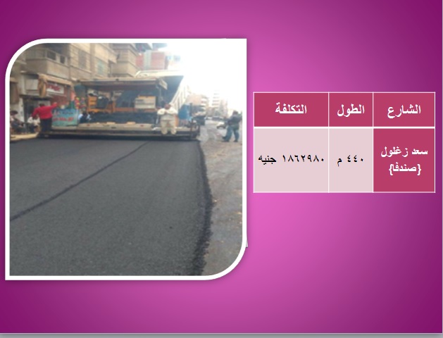 تكلفة وأسماء شوارع محافظة الغربية التى تم رصفها  (7)