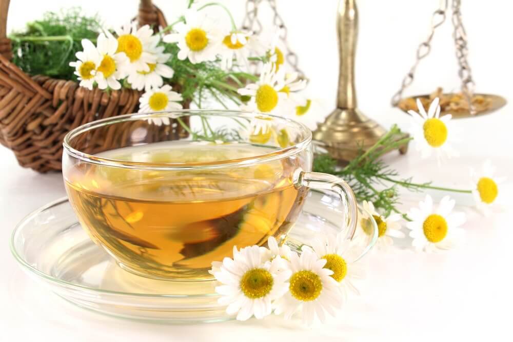 البابونج البابونج