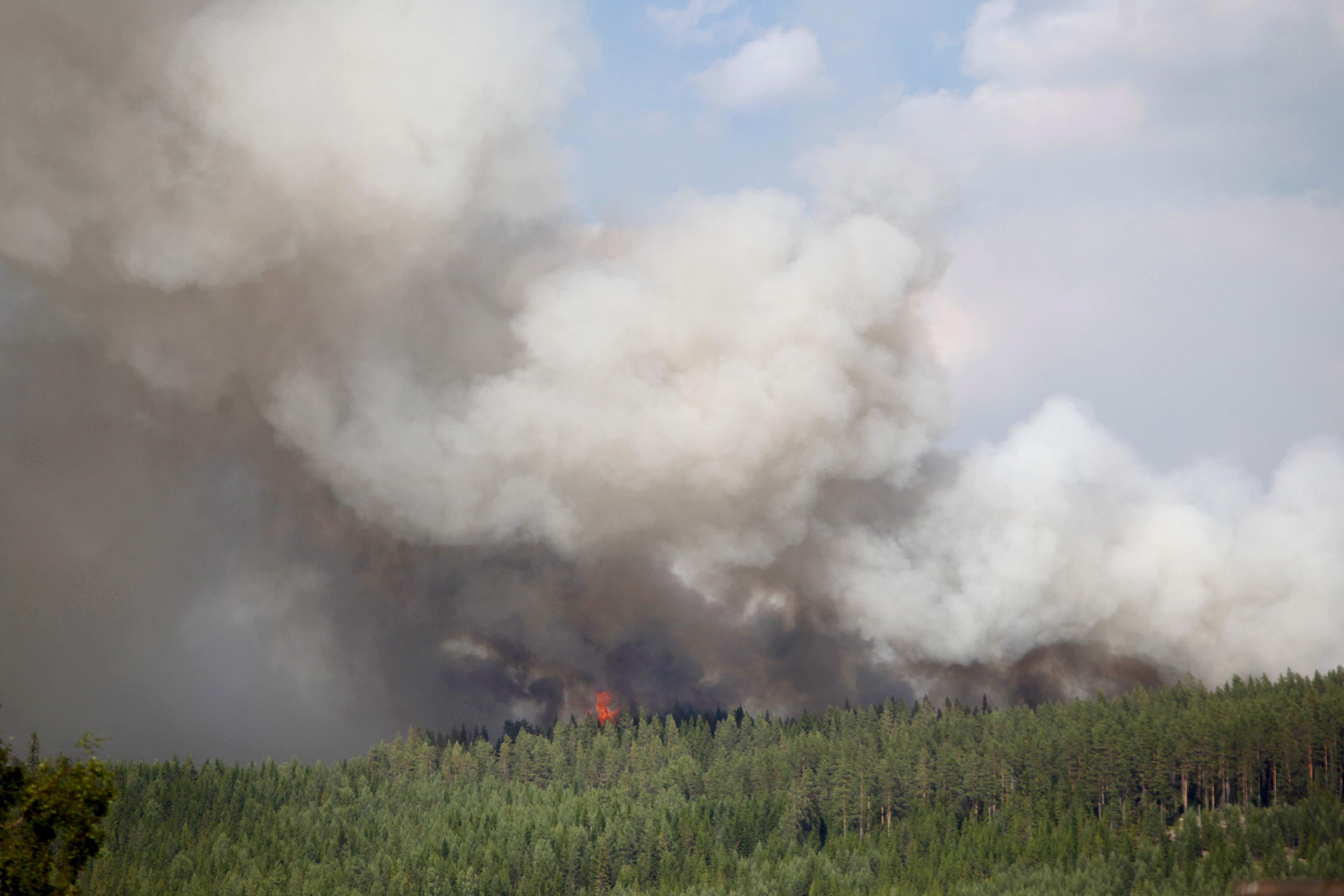حرائق الغابات فى السويد