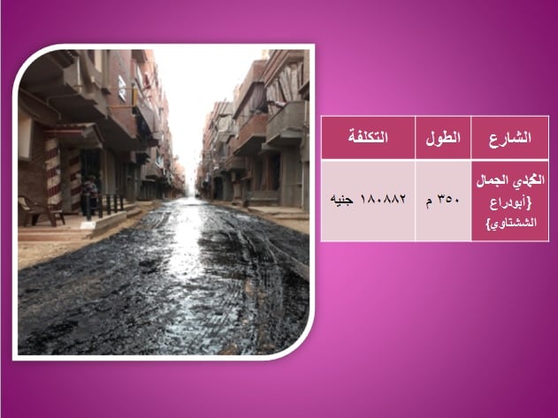 تكلفة وأسماء شوارع محافظة الغربية التى تم رصفها  (14)