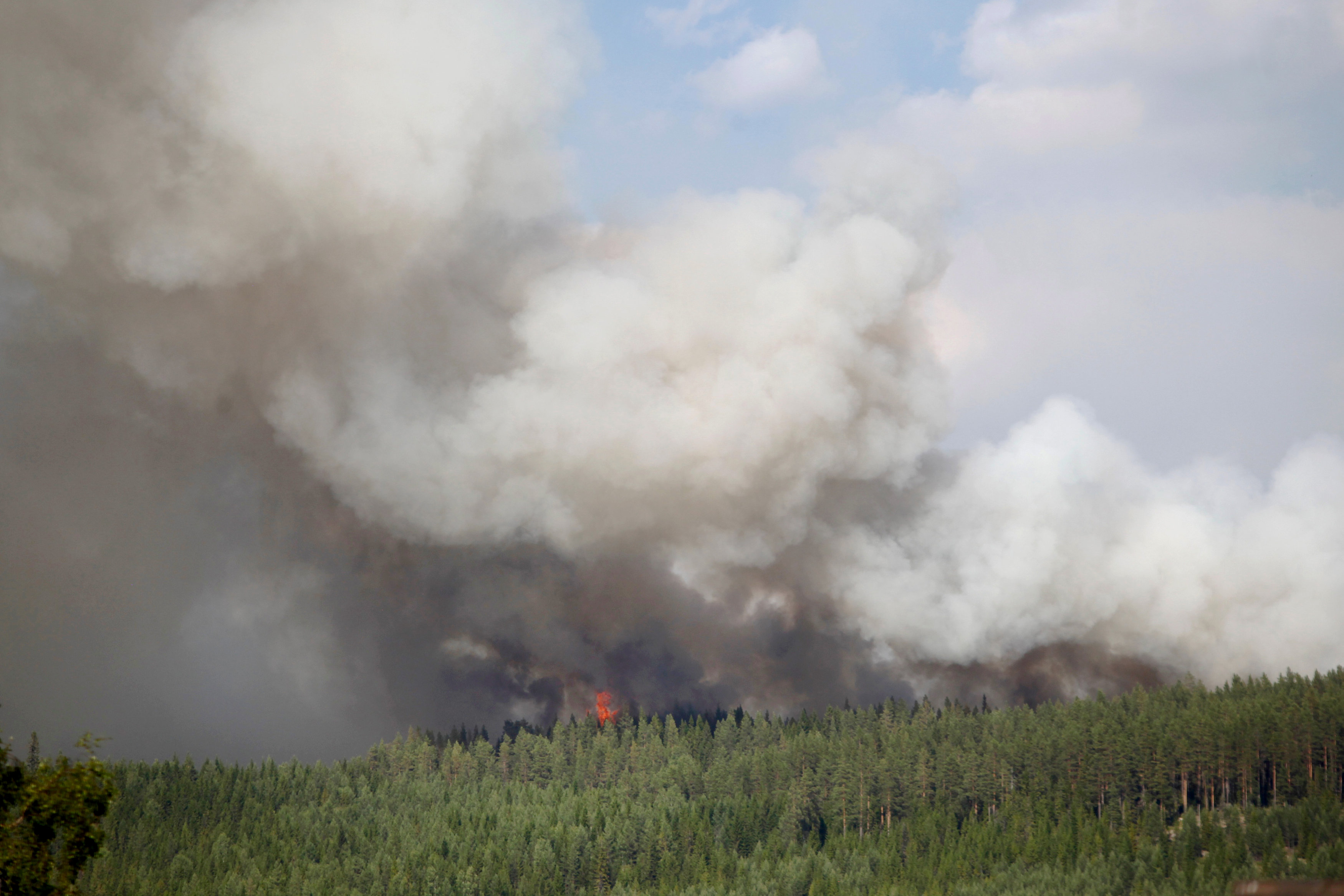 حرائق الغابات فى السويد (2)