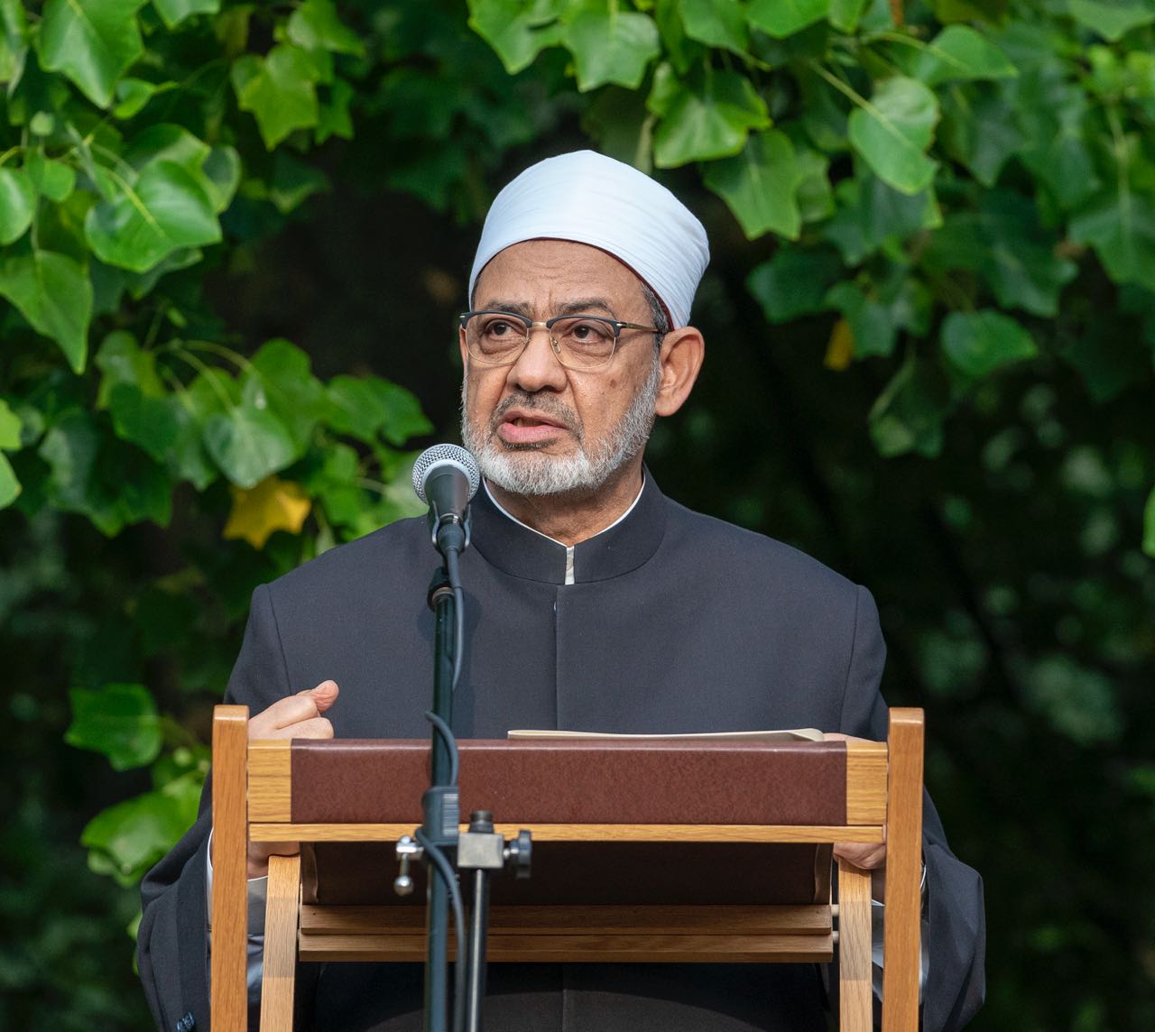 فضيلة الإمام الأكبر الدكتور أحمد الطيب شيخ الأزهر الشريف (1)