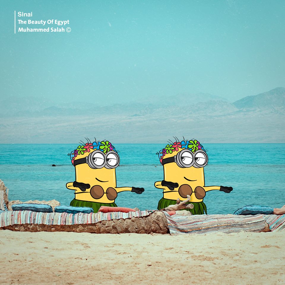 Minions يستمتعان بقضاء العطلة على شواطئ دهب Minions يستمتعان بقضاء العطلة على شواطئ دهب