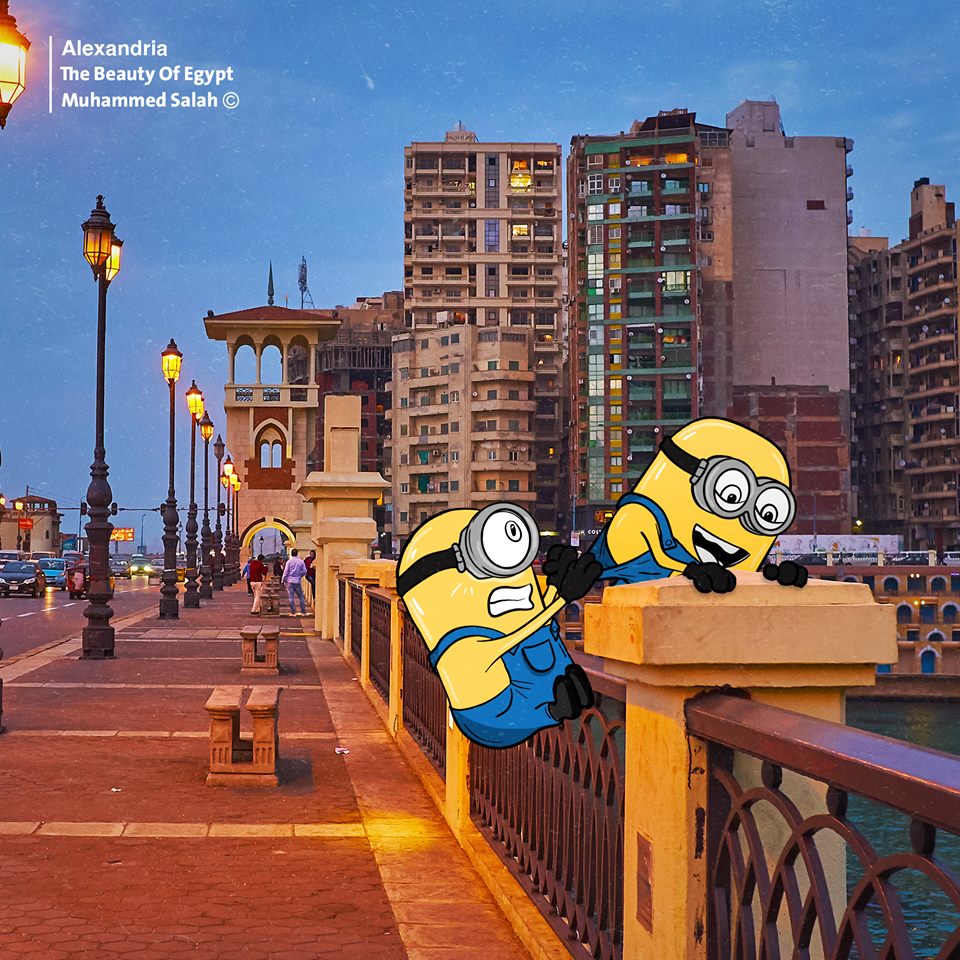 Minions على كورنيش الإسكندرية Minions على كورنيش الإسكندرية