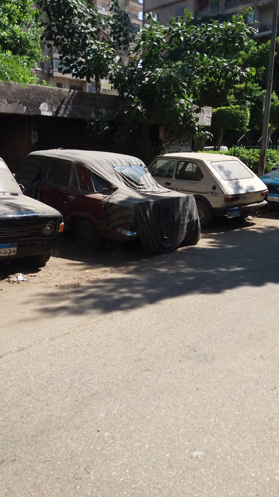 السيارات المهملة المتروكة بشارع المنيل (8)