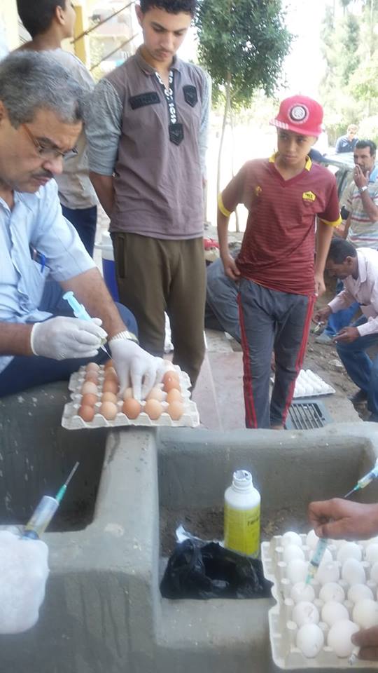 مكافحة الافاعى