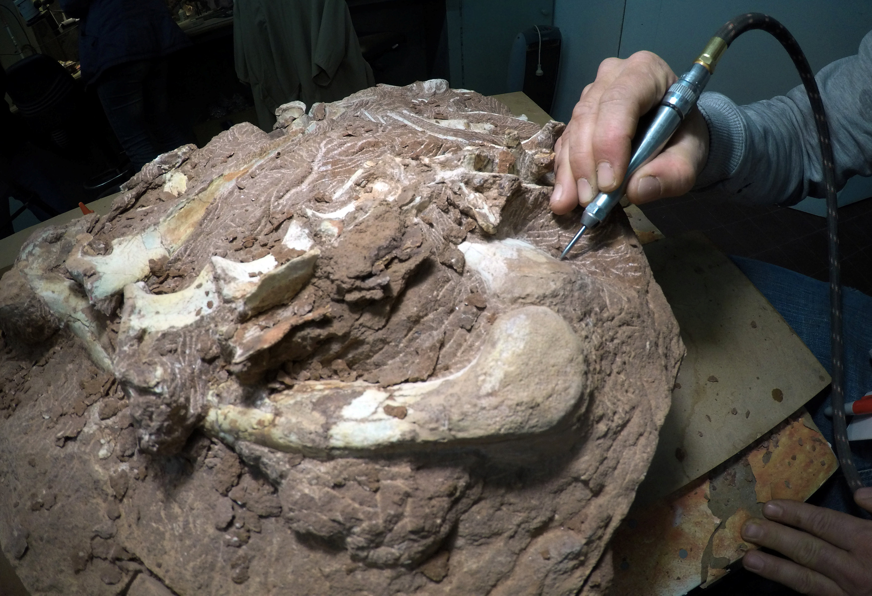 حفرية لأقدم ديناصور
