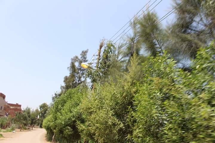 مخالفة اعمدة انار مضاءة بالنهار