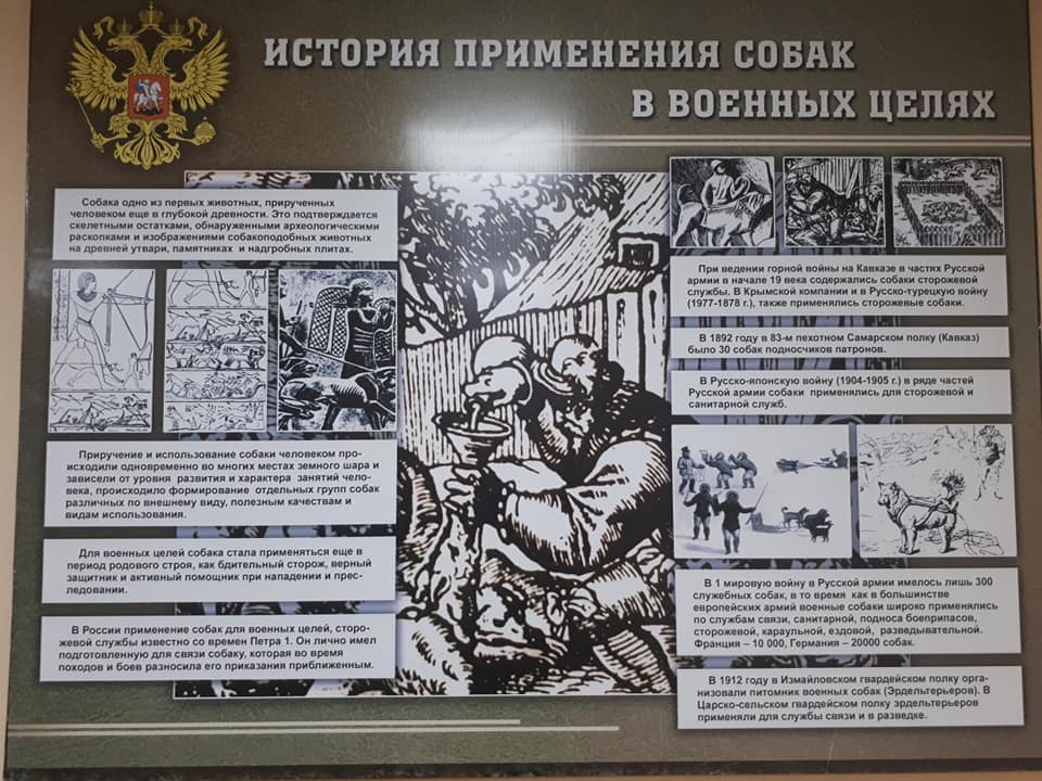 لوحة روسية عن استخدام كلاب الحرب
