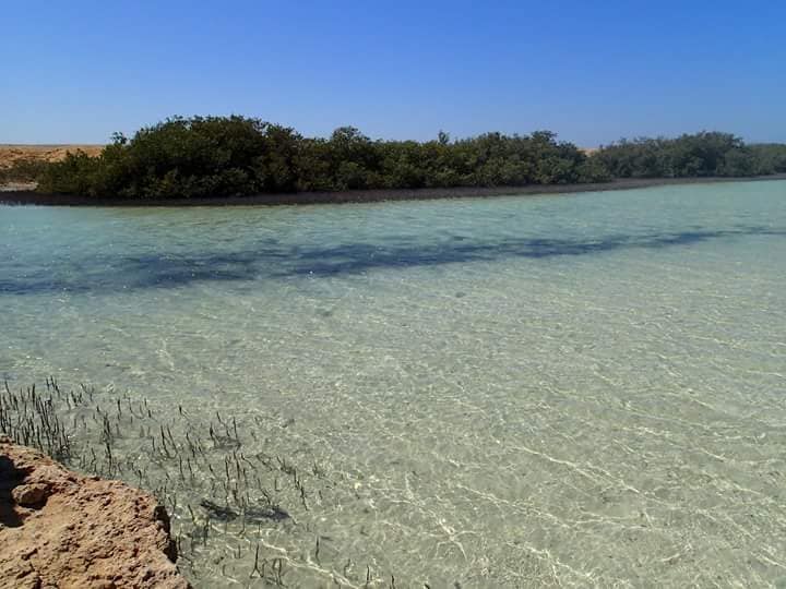  بحيرة بمحمية راس محمد