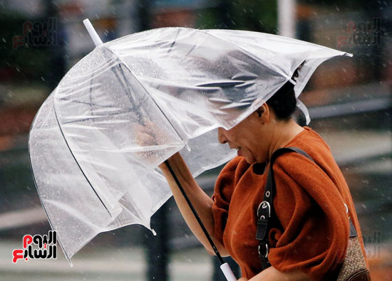 مظلة للاحتماء من الأمطار