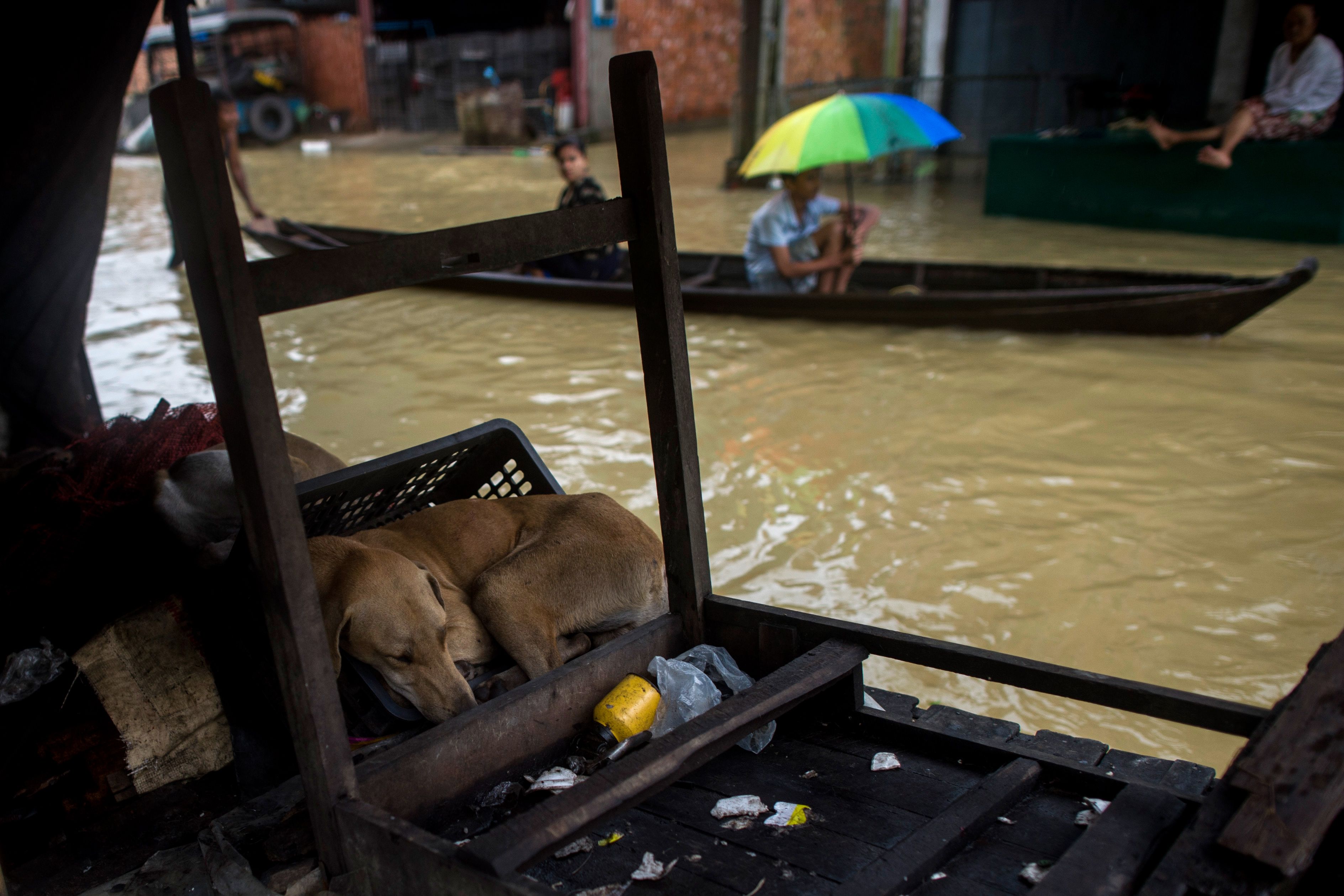الفيضانات فى ميانمار (4)