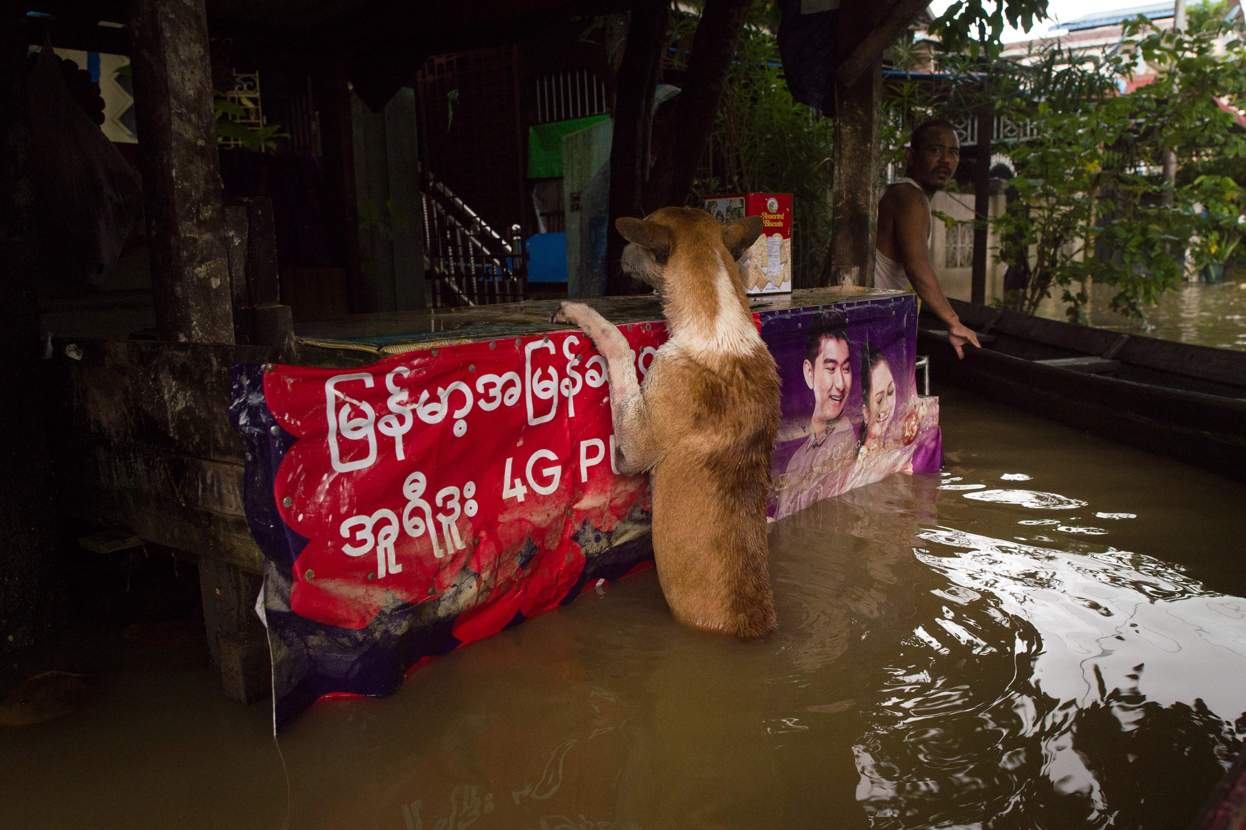 الفيضانات فى ميانمار (1)